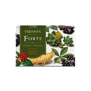 Forte 24 capsule