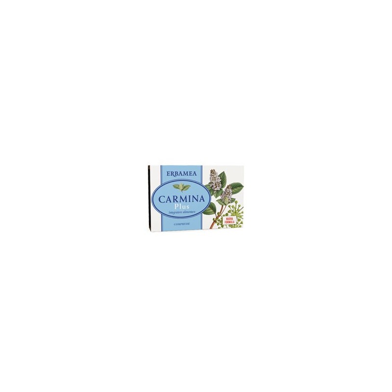 Carmina plus 24 compresse 19,2 g