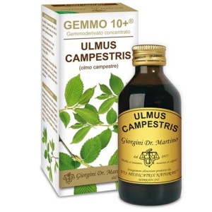 Gemmo 10+ olmo campestre 100 ml liquido analcolico