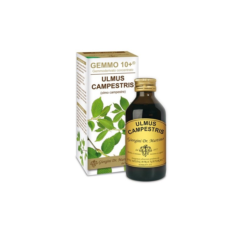 Gemmo 10+ olmo campestre 100 ml liquido analcolico Gemmo 10+ olmo campestre 100 ml liquido analcolico
