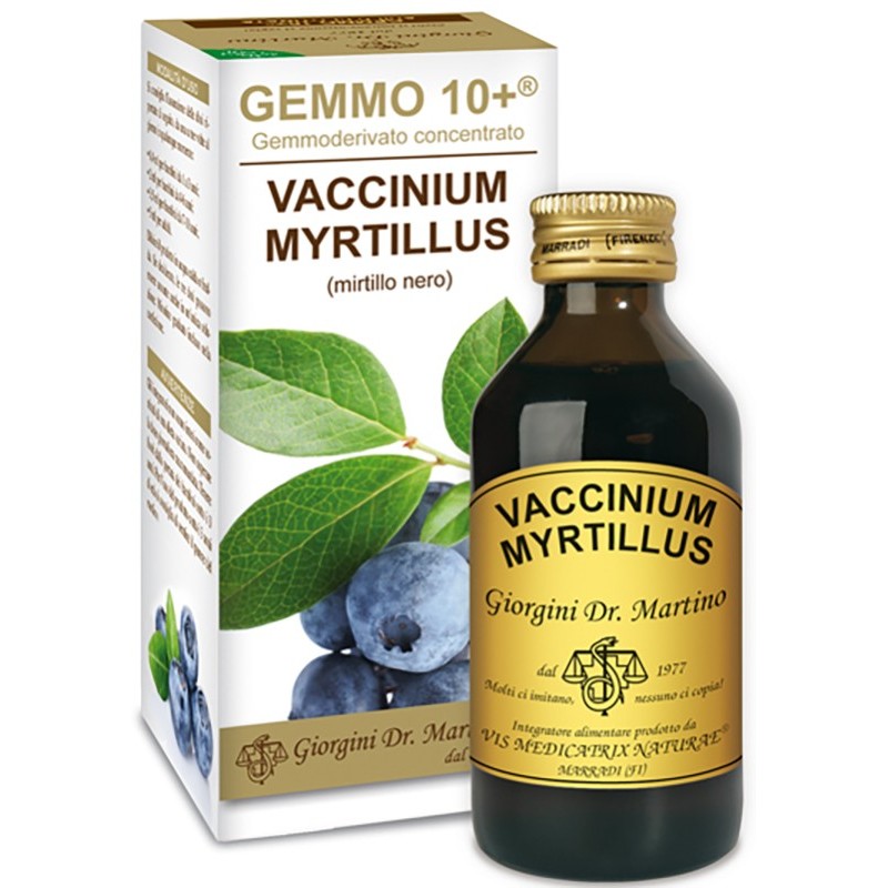 Gemmo 10+ gemmoderivato concentrato vaccinium myrtillus mirtillo nero senza alcool 100 ml Gemmo 10+ gemmoderivato concentrato vaccinium myrtillus mirtillo nero senza alcool 100 ml