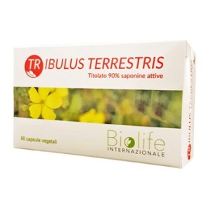 Tribulus terrestris 60 capsule
