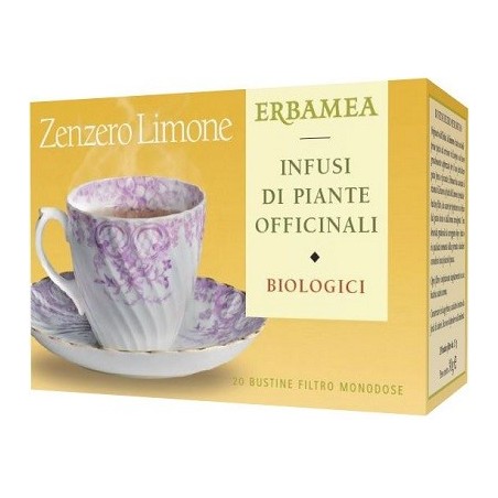Zenzero/lim bio 20 bustine 30 g