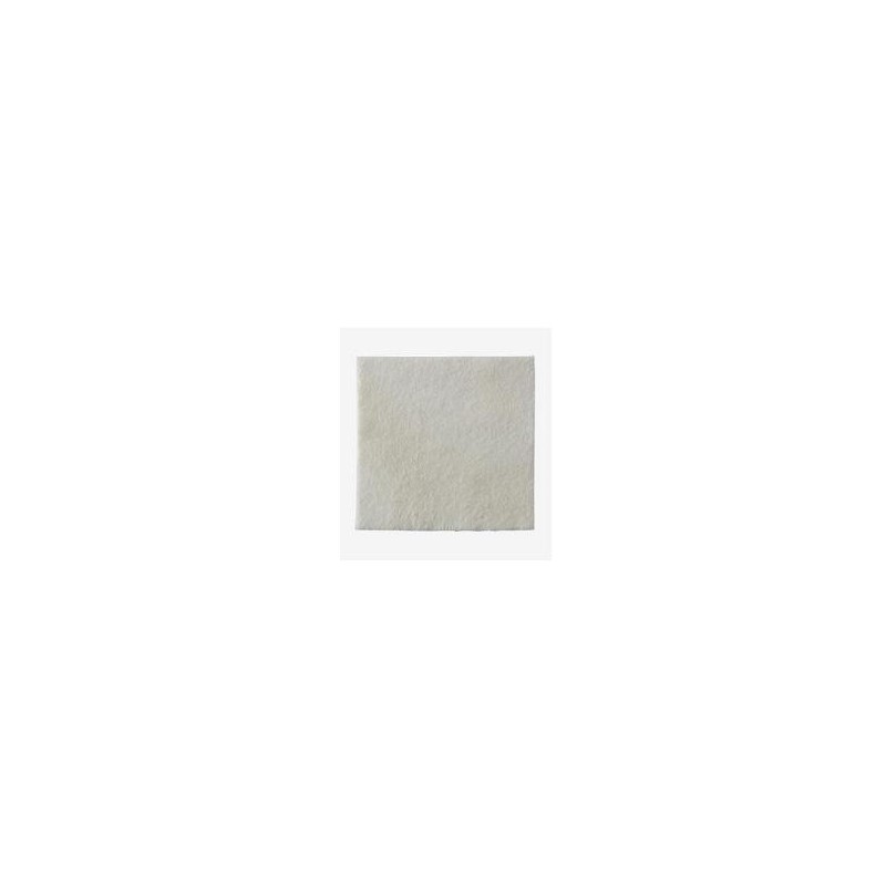 Medicazione biatain alginate in alginato e carbossimetilcellulosa 15x15 cm 10 pezzi Medicazione biatain alginate in alginato e carbossimetilcellulosa 15x15 cm 10 pezzi