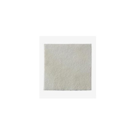 Medicazione biatain alginate in alginato e carbossimetilcellulosa 15x15 cm 10 pezzi