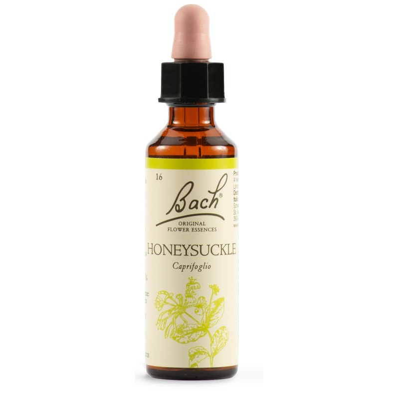 Honeysuckle bach orig 20 ml Honeysuckle bach orig 20 ml