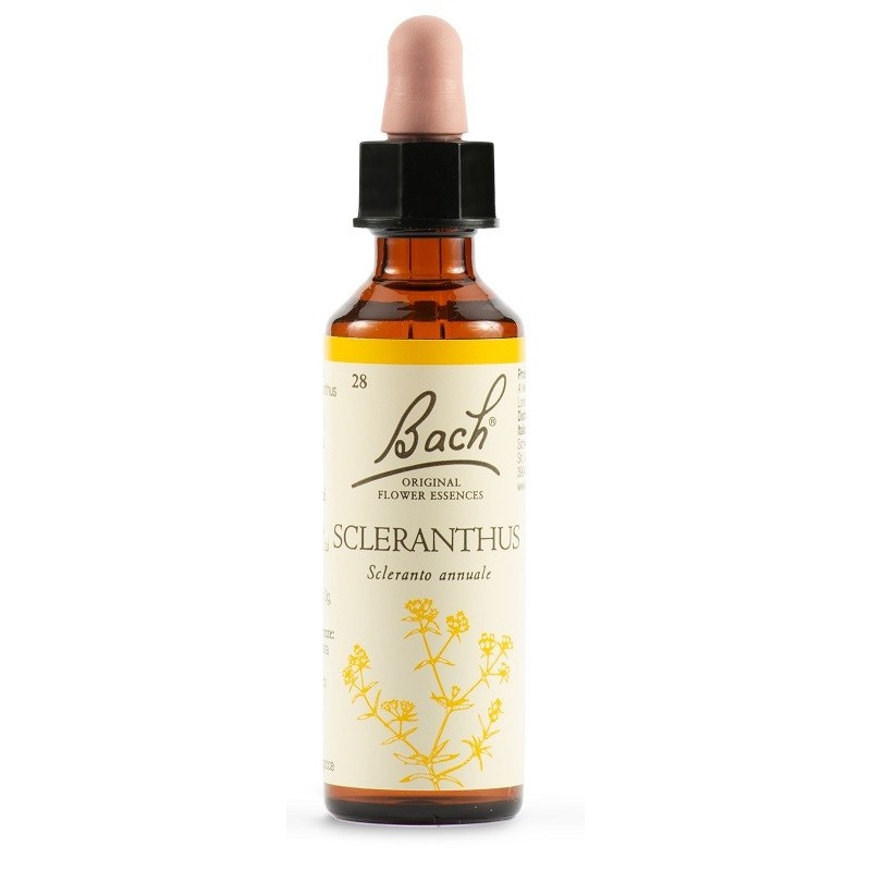 Sclerantus bach orig 20 ml Sclerantus bach orig 20 ml