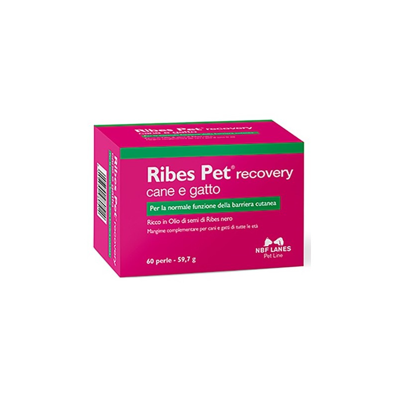 Ribes pet sollievo blister 60 perle Ribes pet sollievo blister 60 perle