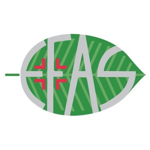 Ha100 acido ialuronico 100% 30 ml