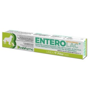 Enterolac pasta siringa 15 g