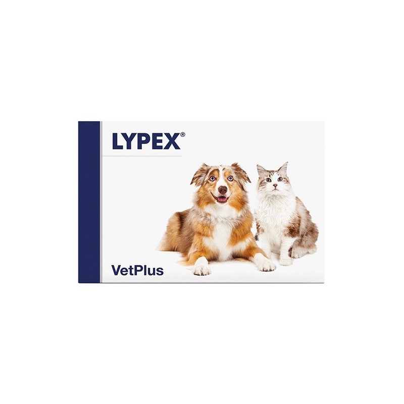 Lypex 60 capsule Lypex 60 capsule