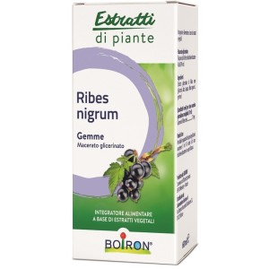 Ribes nigrum estratti di piante boiron mg 60 ml