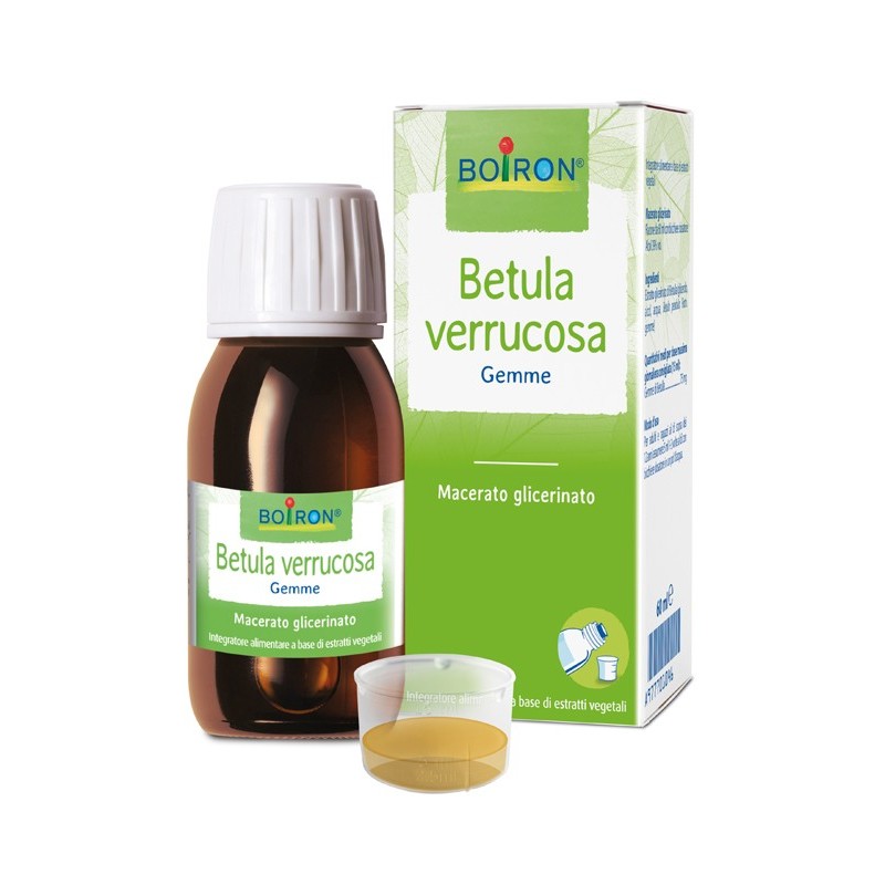Betula verruco macerato glicerico 60 ml int
