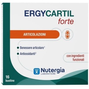 Ergycartil forte 16 bustine