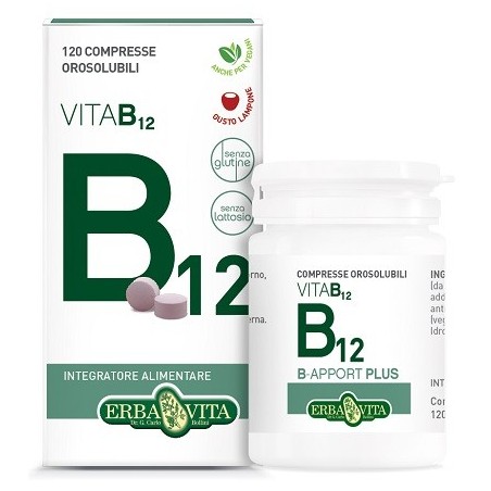 B apport vitamina b12 120 compresse orosolubili