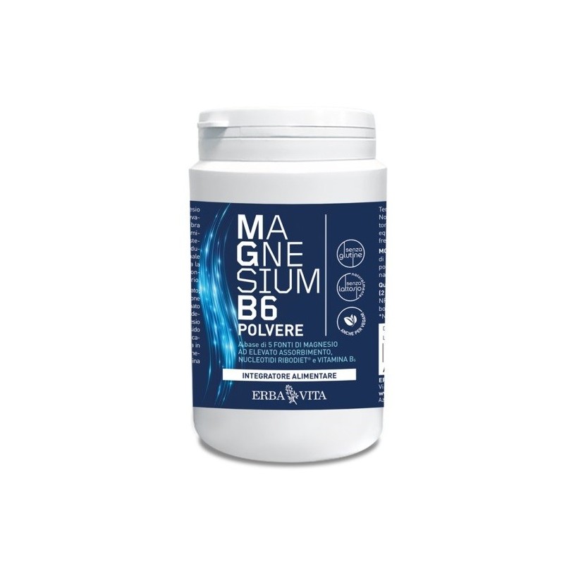 Magnesium b6 polvere 200 g