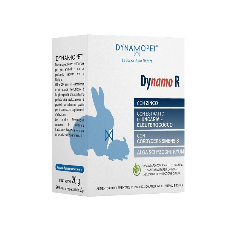 Dynamo r 20 bustine da 2 g Dynamo r 20 bustine da 2 g