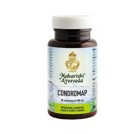 Condromap 60 compresse