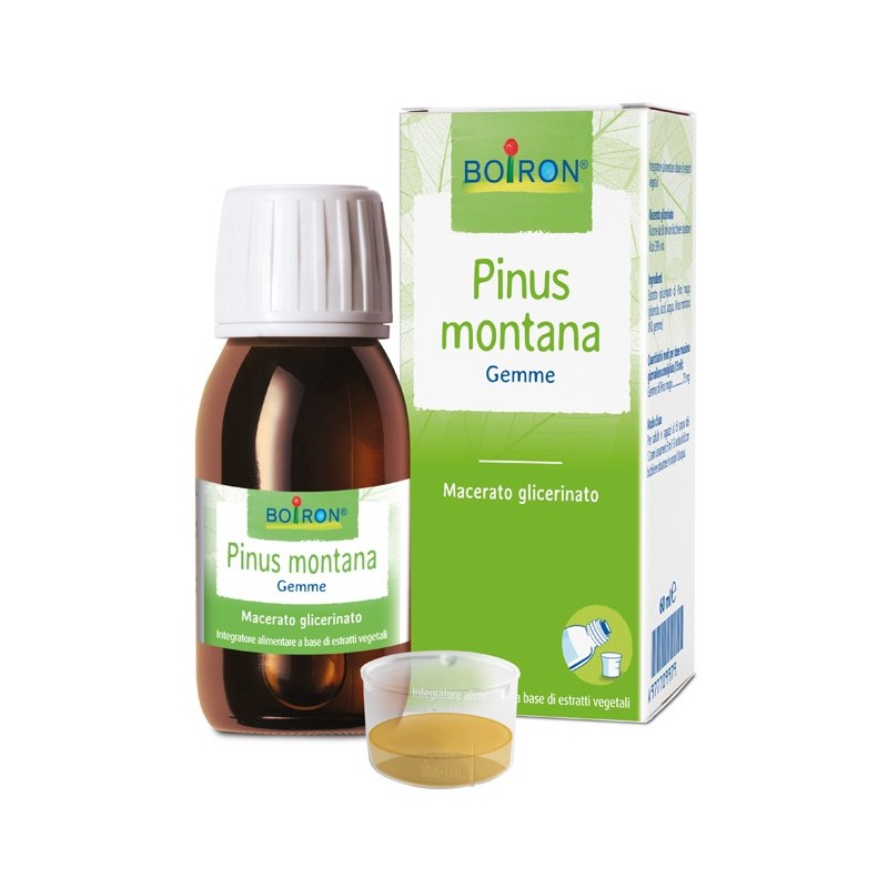 Pinus montana macerato glicerico 60 ml int Pinus montana macerato glicerico 60 ml int