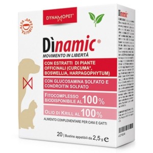 Dinamic 20 bustine 2,5 g