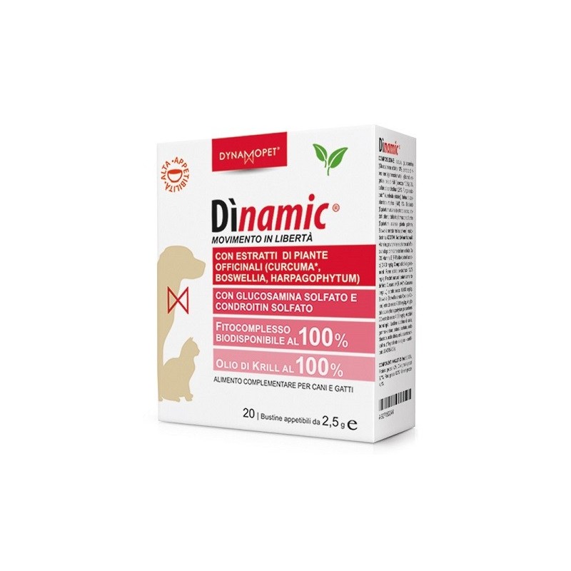 Dinamic 20 bustine 2,5 g