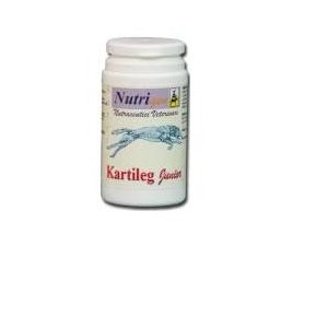 Kartileg junior 60 tavolette