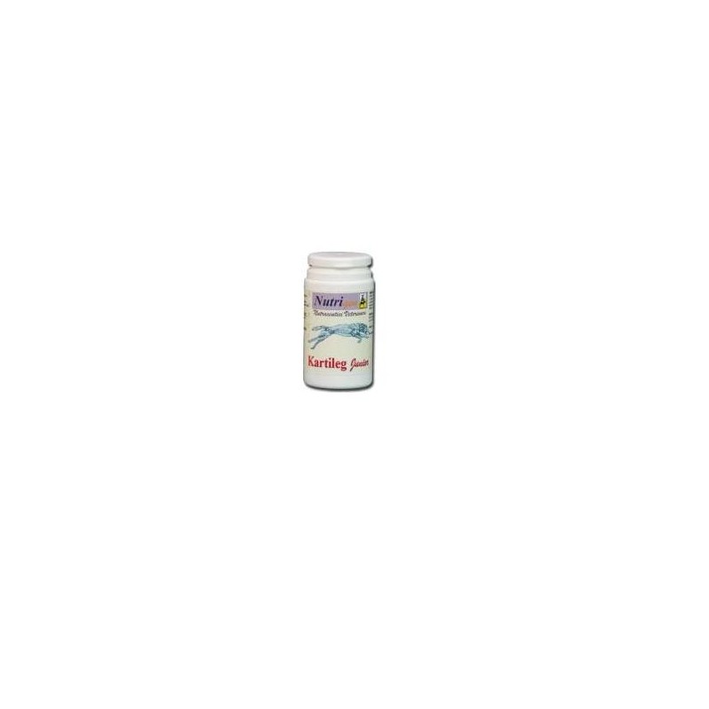 Kartileg junior 60 tavolette