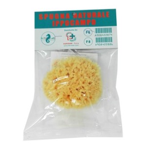 Spugna naturale ippocampo 6