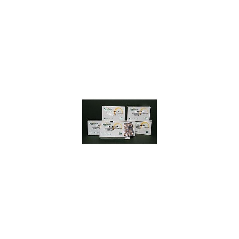 Ginkgosan 60 compresse 400 mg Ginkgosan 60 compresse 400 mg