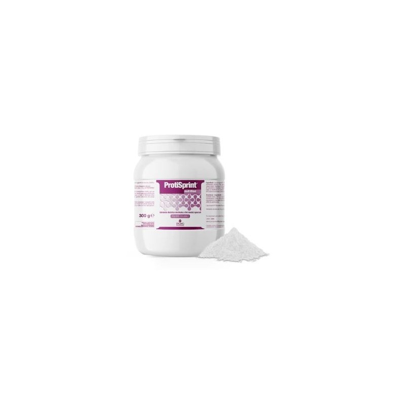 Protisprint nutrition polvere proteica 300g
