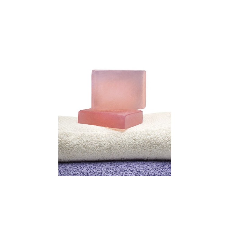 Derigyn sapone solido 100 g