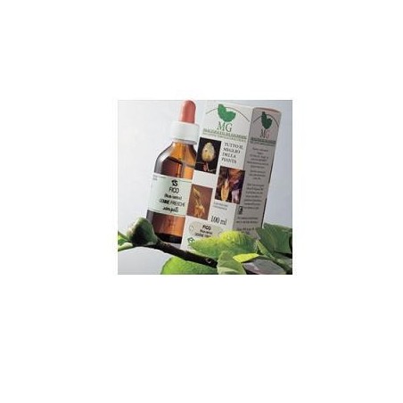 Castagno macerato glicerico 100 ml