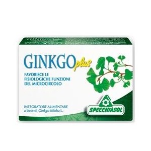 Ginkgo plus 30 capsule
