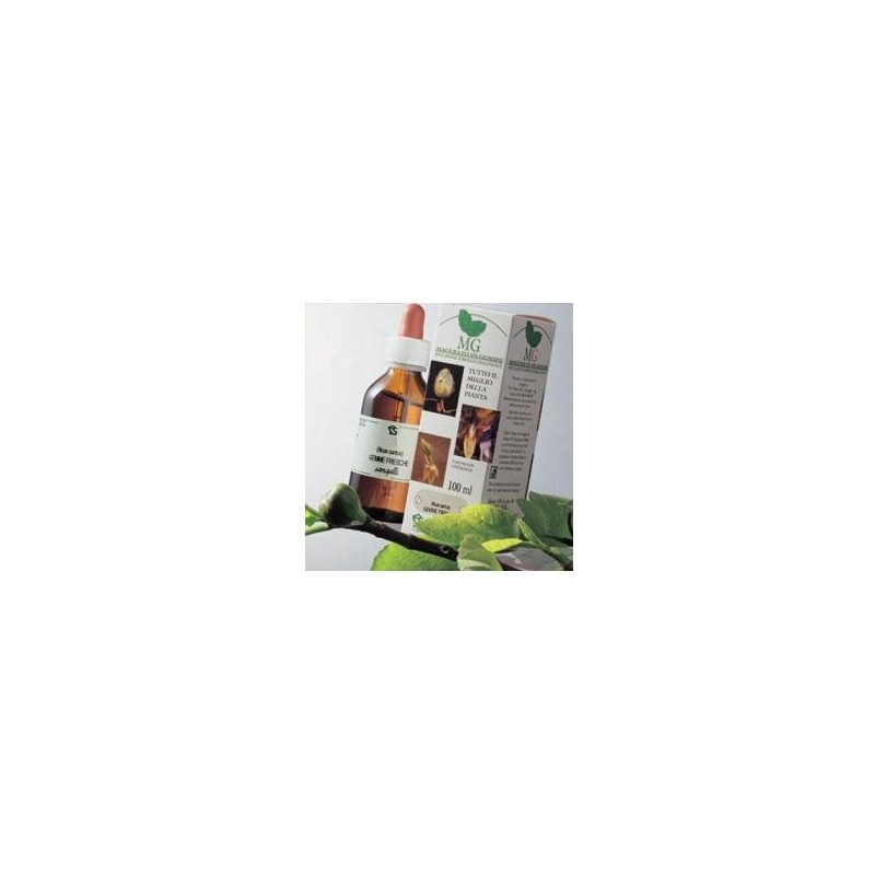 Betulla macerato glicerico 100 ml