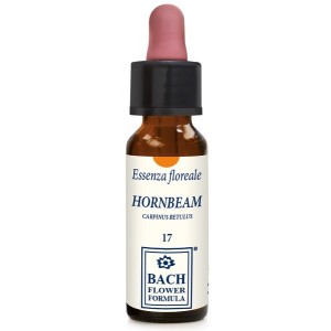 Hornbeam original gocce 10 ml