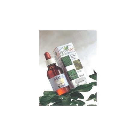 Erisimo tintura madre 100 ml