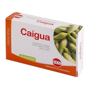 Caigua estratto secco 60 compresse