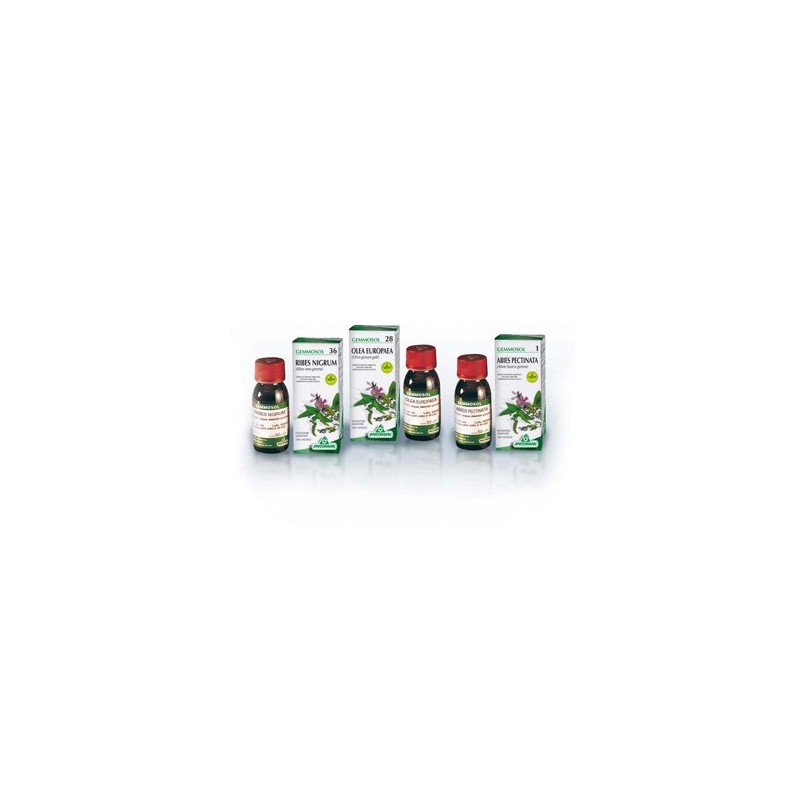 Gemmosol 24 fico 50ml