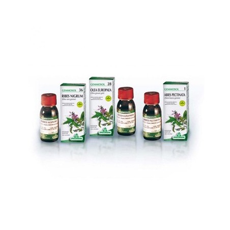 Gemmosol 24 fico 50ml