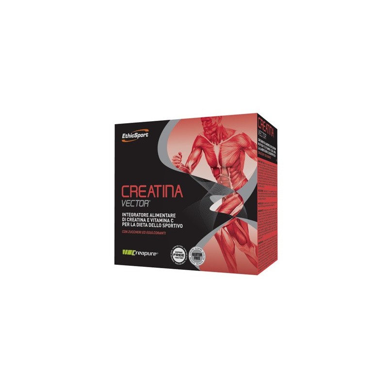 Ethicsport creatina vector 20 bustine 8 g
