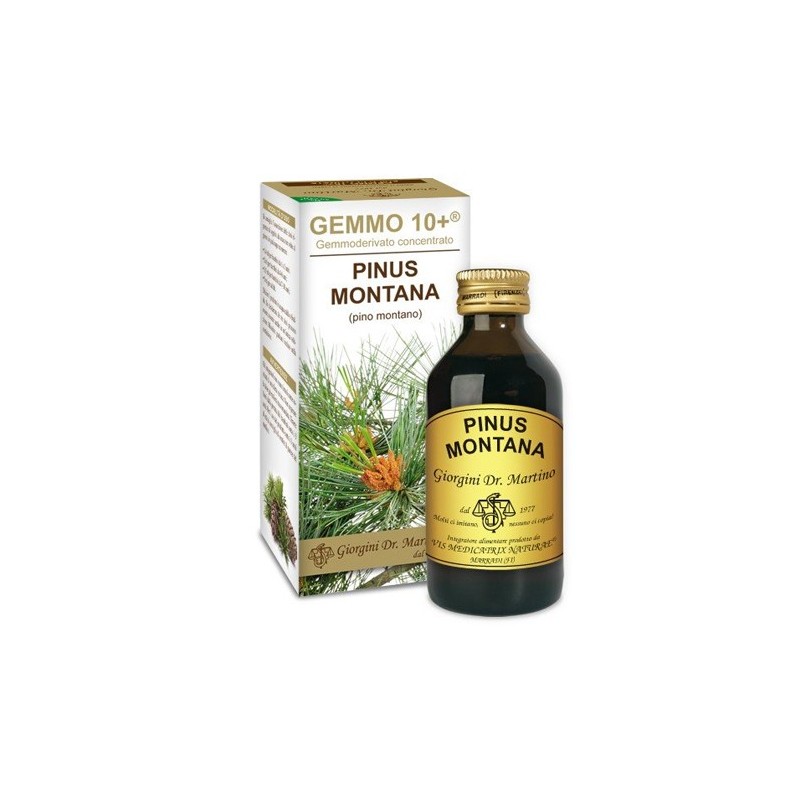Gemmo 10+ pino montano 100 ml liquido analcolico Gemmo 10+ pino montano 100 ml liquido analcolico