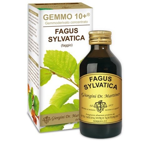 Gemmo 10+ faggio 100 ml liquido analcolico