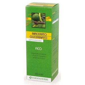 Macerato glicerico fico gemme ficus carica 100 ml