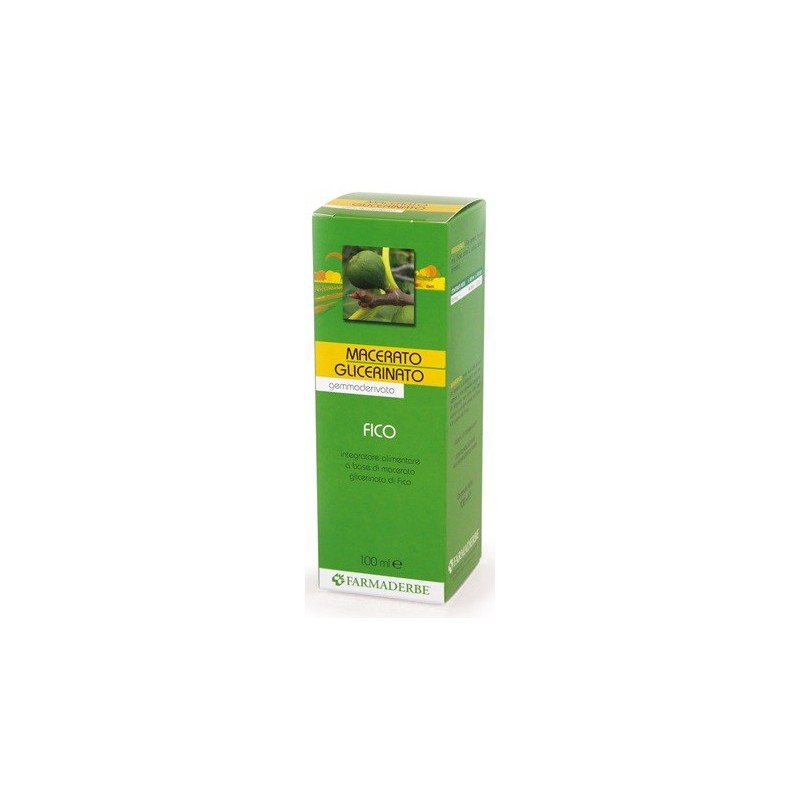 Macerato glicerico fico gemme ficus carica 100 ml