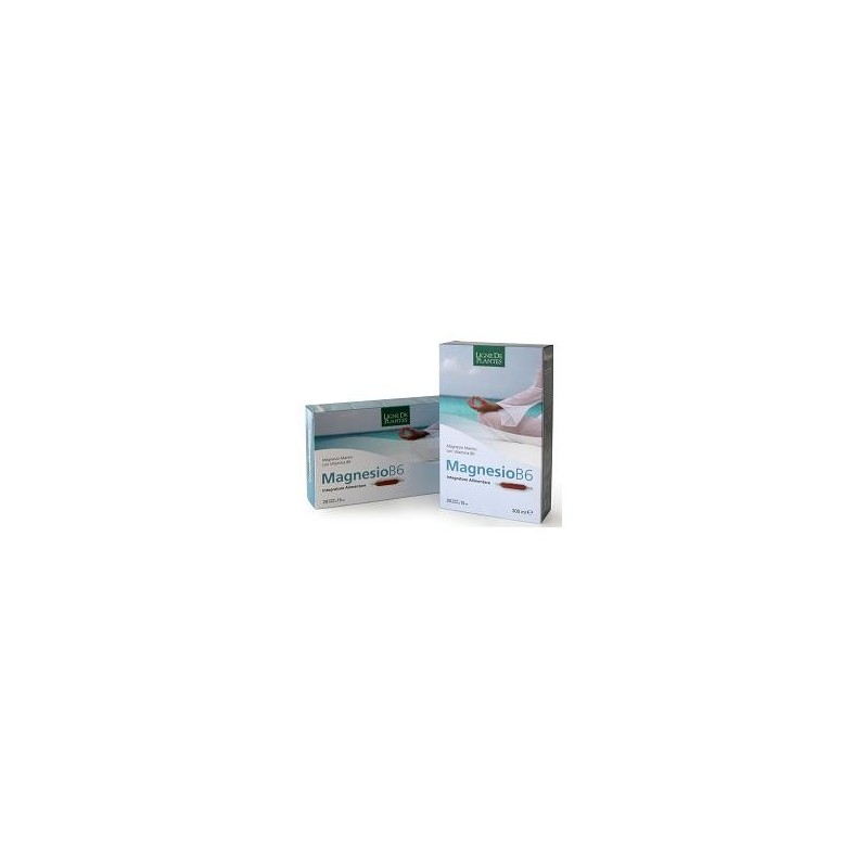 Magnesio b6 20 ampolle bevibili da 15 ml