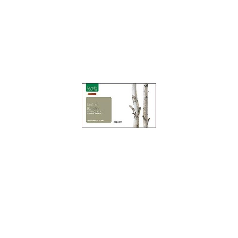 Linfa di betulla biologico 20 ampolle bevibili da 15 ml