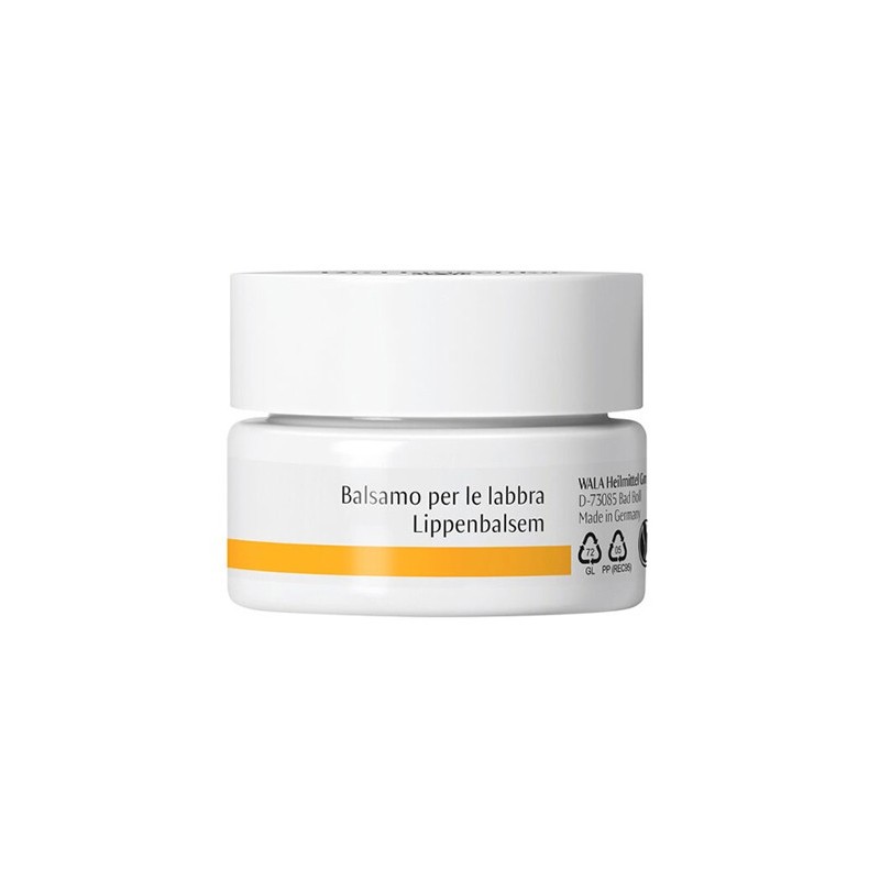Dr hauschka balsamo labbra 4,5g Dr hauschka balsamo labbra 4,5g