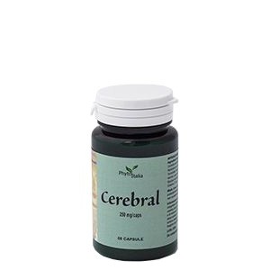 Cerebral ayurved 60 capsule