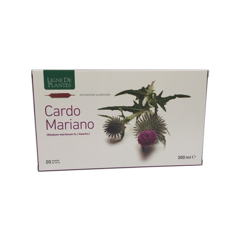 Cardo mariano 20 ampolle bevibili da 15 ml Cardo mariano 20 ampolle bevibili da 15 ml