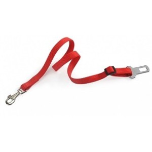 Guinzaglio sicurezza 15 mm